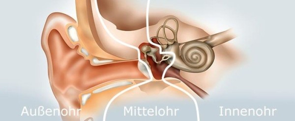 Hörsysteme Ahlers Osterholz-Scharmbeck Mittelohr